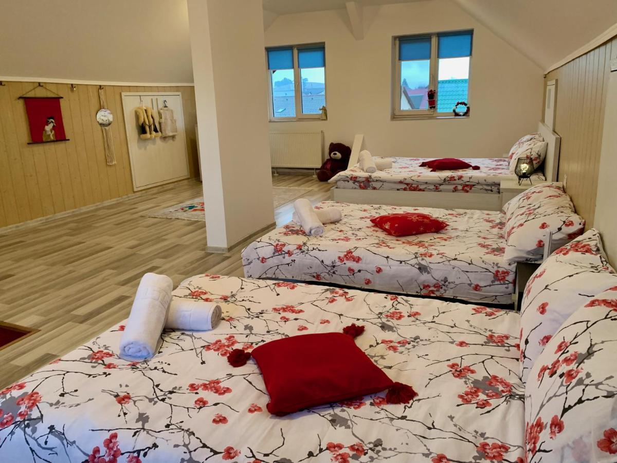Casa Costache Villa Braşov Buitenkant foto